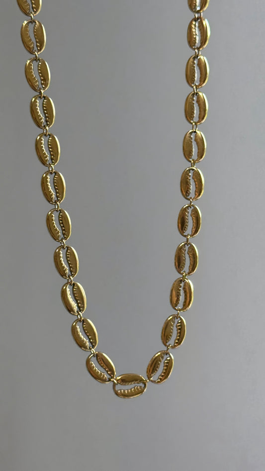 Shell Necklace