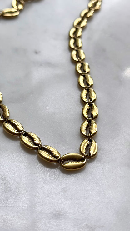Shell Necklace
