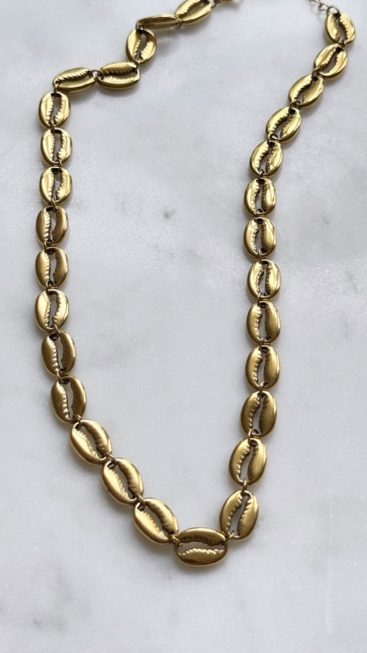 Shell Necklace